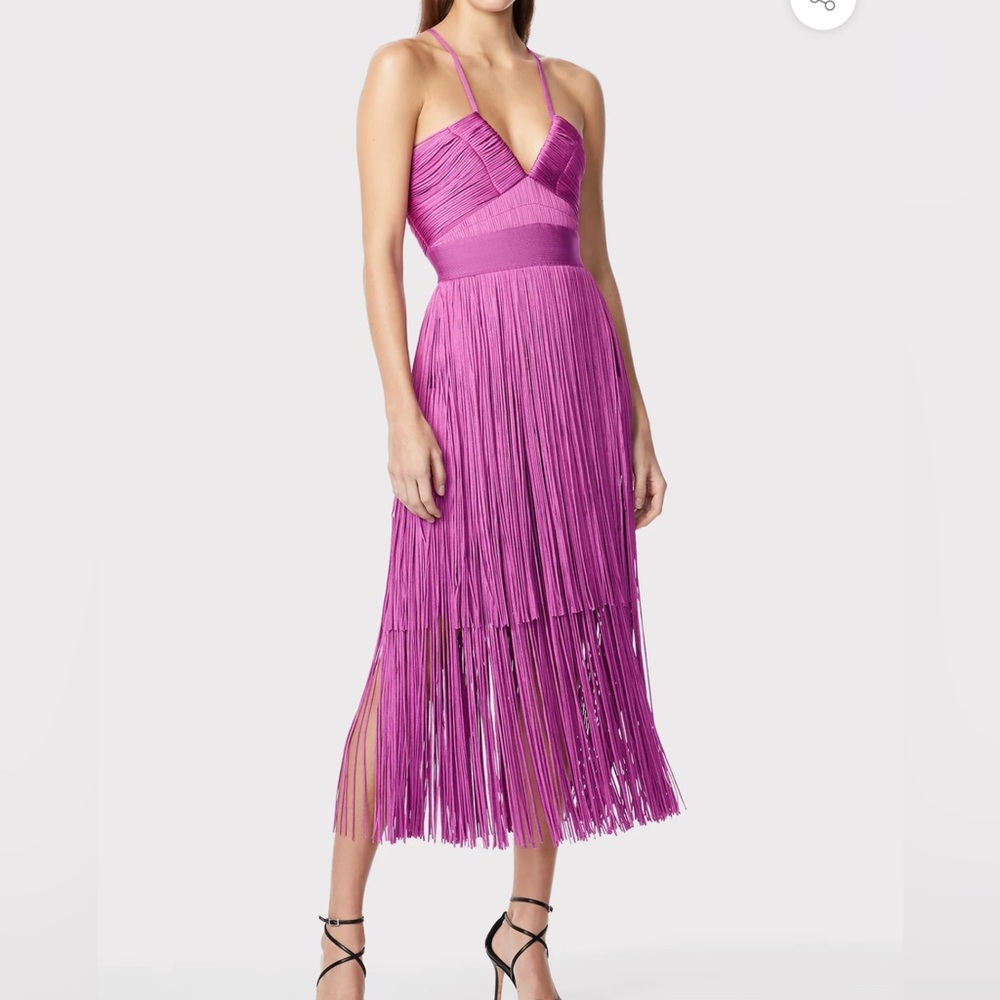 Herve Leger fringe dress